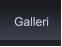 Galleri Galleri